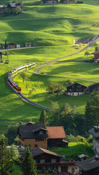 Dreamy hillside train