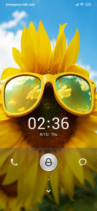 Sunflower ti