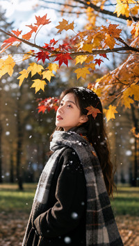 枫雪共秋时