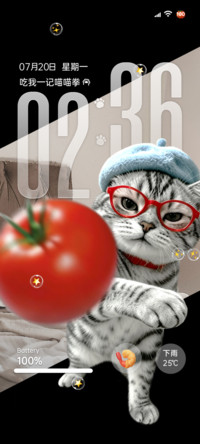重感 低素质番茄猫