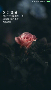 玫瑰