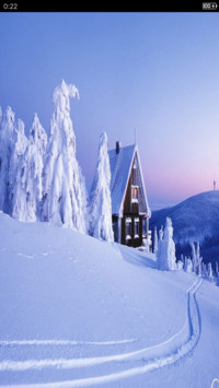 雪中美景