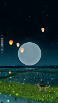 仰望夜色