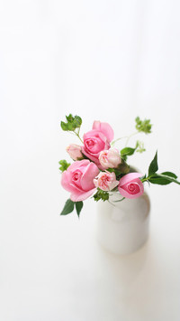 唯美玫瑰花锁屏壁纸下载