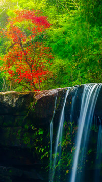Refreshing Waterfall