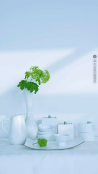 简生活