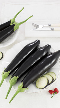 What are long eggplant and round eggplant 69
