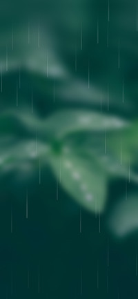 雨水珠