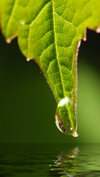 Good rain knows the season