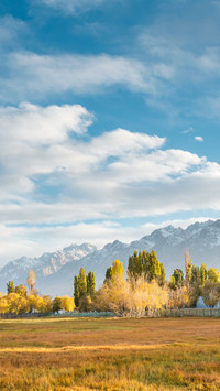 Lingering in the autumn of xinjiang 2