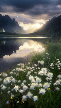 When flowers bloom
