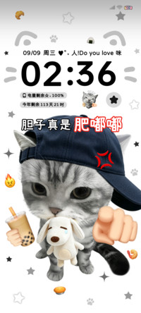 趣味小猫胆子肥嘟嘟