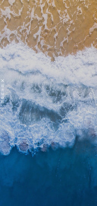 海