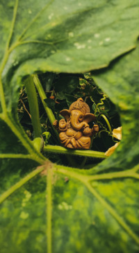 Srivatsa HR (6)