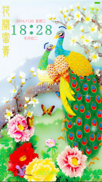 唯美孔雀花开富贵