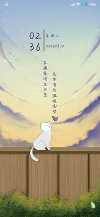 猫与蝶