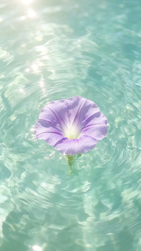 浅夏花朵特辑