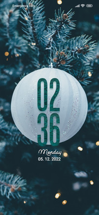 Christmas Fine