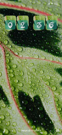Dew Drops_3MDS