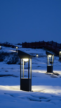 Blue night view