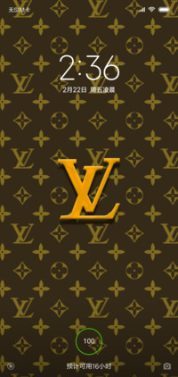 lv驴牌