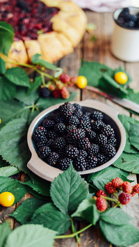 Delicious fruit-02