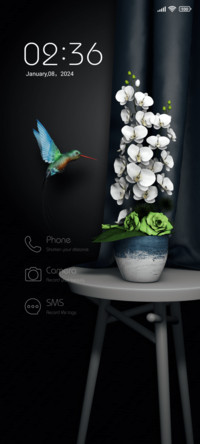 Hummingbird