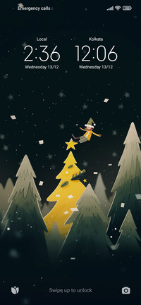 Pine forest
