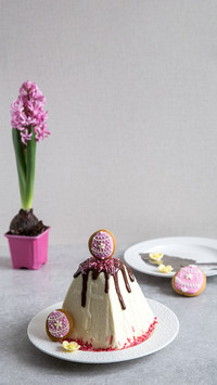 Delicious cake-01