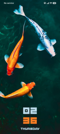 Koi Fish