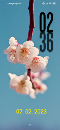 cherry petals