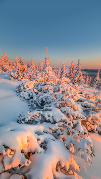 Beautiful winter landscape and sky on mountains