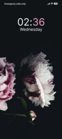 Soft Pinkpetal