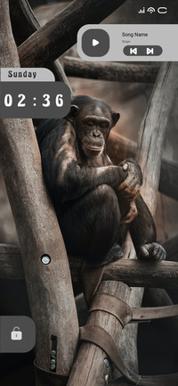 Monkey Pose