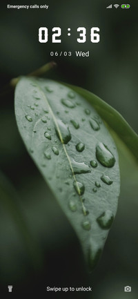 Leaf Drops  Dark _3MDS