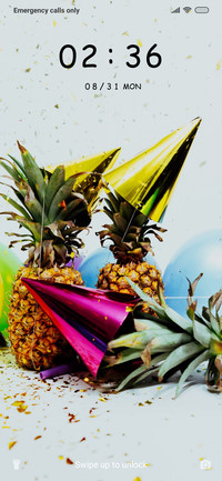 Summer Party_3MDS