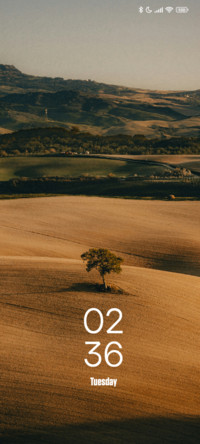 Field