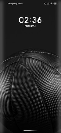 Basketball