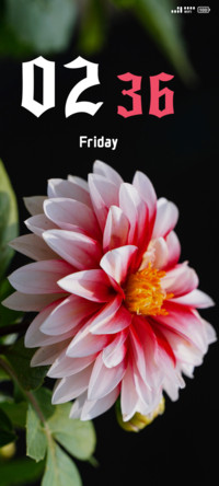 Pink Flower