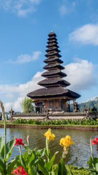 Indonesia (14)