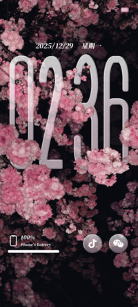 景深ins夜幕樱花