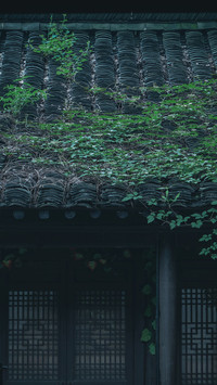 走进鲁迅的“故乡”
