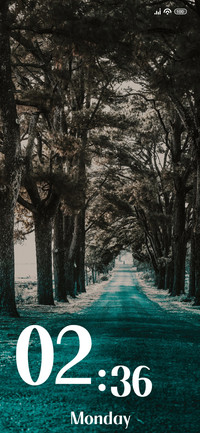 Blueroad