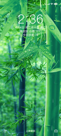 意境竹林