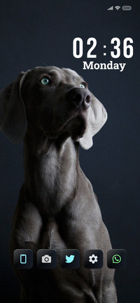 Bruno