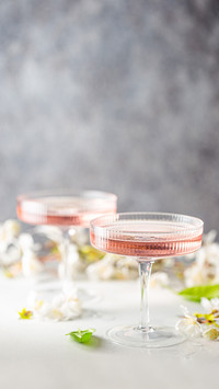 Homemade pink vodka cocktail drink in crystal glasses