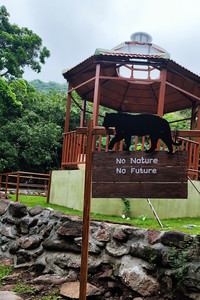 No nature no future.jpg