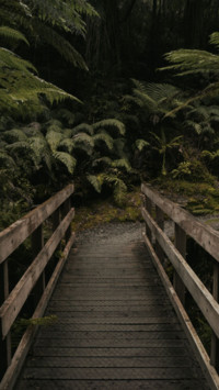 Bridges Of Life (18)