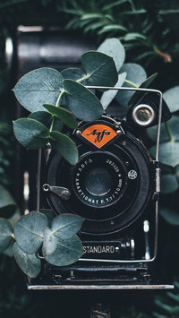 camera