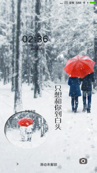 只想和你到白头